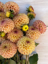 Load image into Gallery viewer, Ferncliff Spice 4/$24