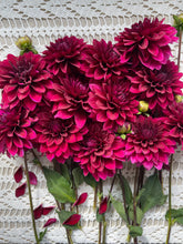 Load image into Gallery viewer, Hello Dahlia
