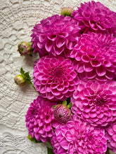 Load image into Gallery viewer, Pink Robinhood
