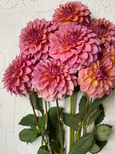 Load image into Gallery viewer, Bloomquist Dave
