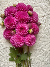 Load image into Gallery viewer, Pink Robinhood
