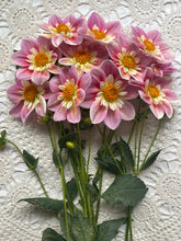 Load image into Gallery viewer, Ferncliff Dolly
