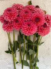 Load image into Gallery viewer, Pink Runner

