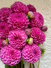 Load image into Gallery viewer, Pink Robinhood
