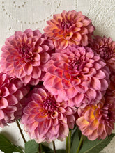 Load image into Gallery viewer, Bloomquist Dave
