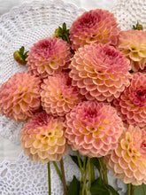 Load image into Gallery viewer, 20th Ave Softer Peach
