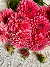 Load image into Gallery viewer, Pink Runner
