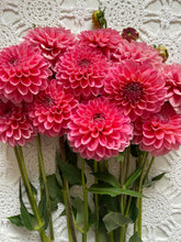 Load image into Gallery viewer, Pink Runner

