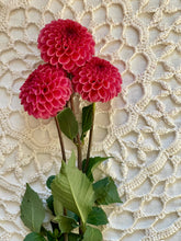 Load image into Gallery viewer, Ferncliff Kathleen
