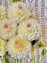 Load image into Gallery viewer, Cream Diane
