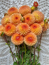 Load image into Gallery viewer, Blyton Softer Gleam (bulk 5/$35)
