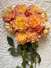 Load image into Gallery viewer, Hollyhill Serenity
